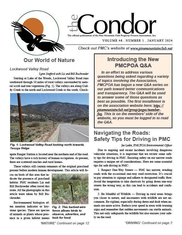 Jan 2024 Condor newsletter page 1 image