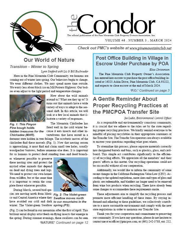 March 2024 Condor Page 1