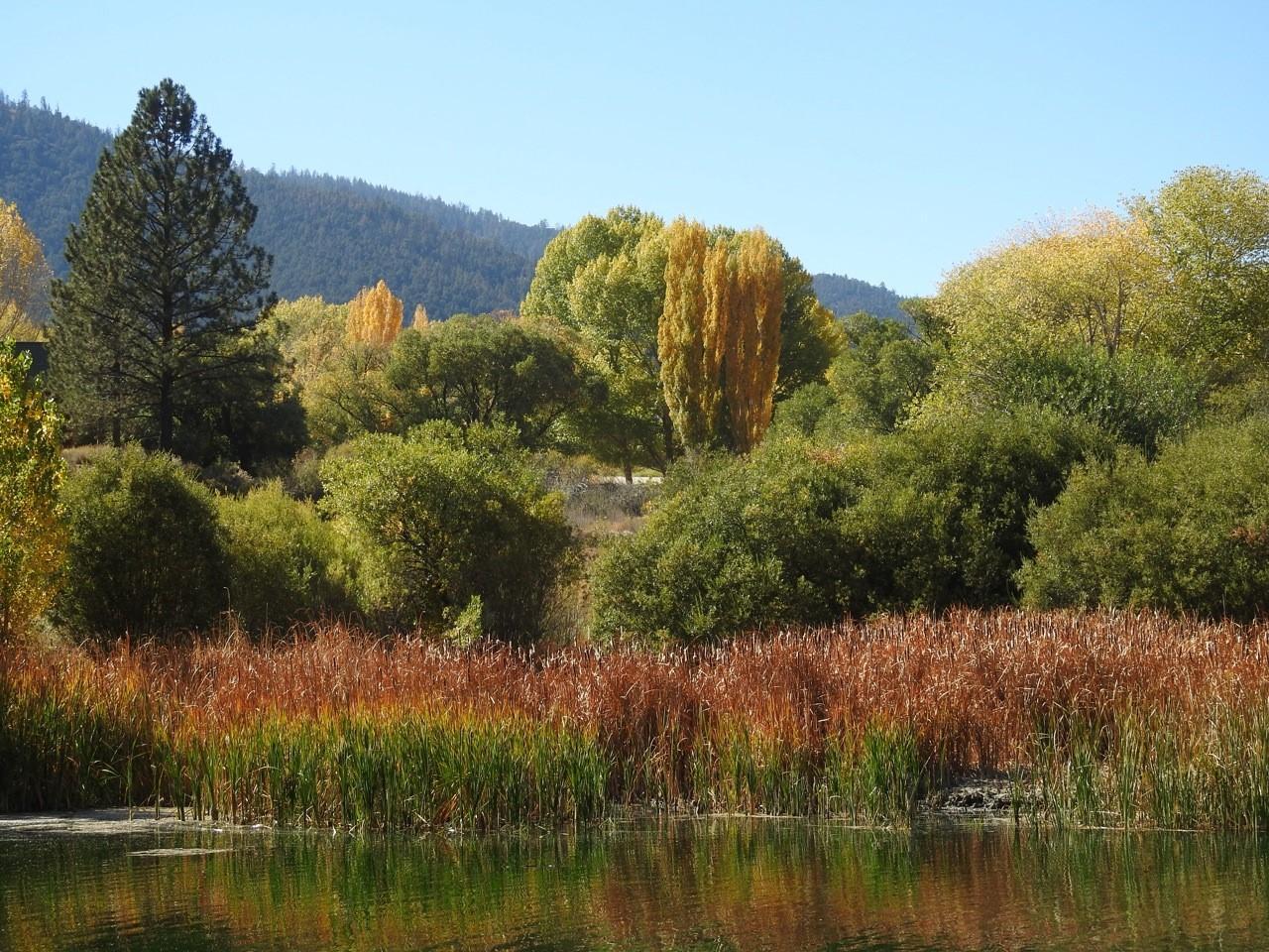 Photo of Fern's Lake