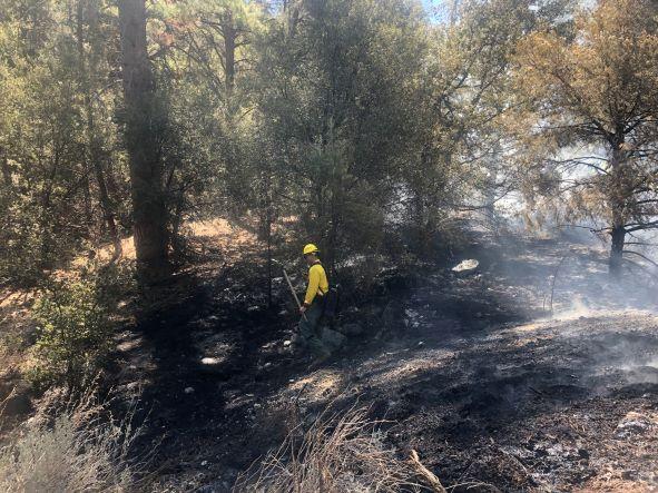 photo of fire in greenbelt