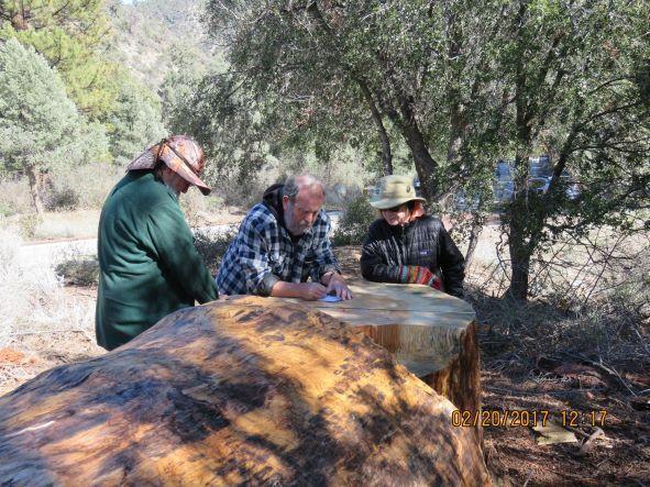 Photo of Counting ponderosa pine annual rings – Randy Cushman, Lynn Stafford, Mary McDevitt