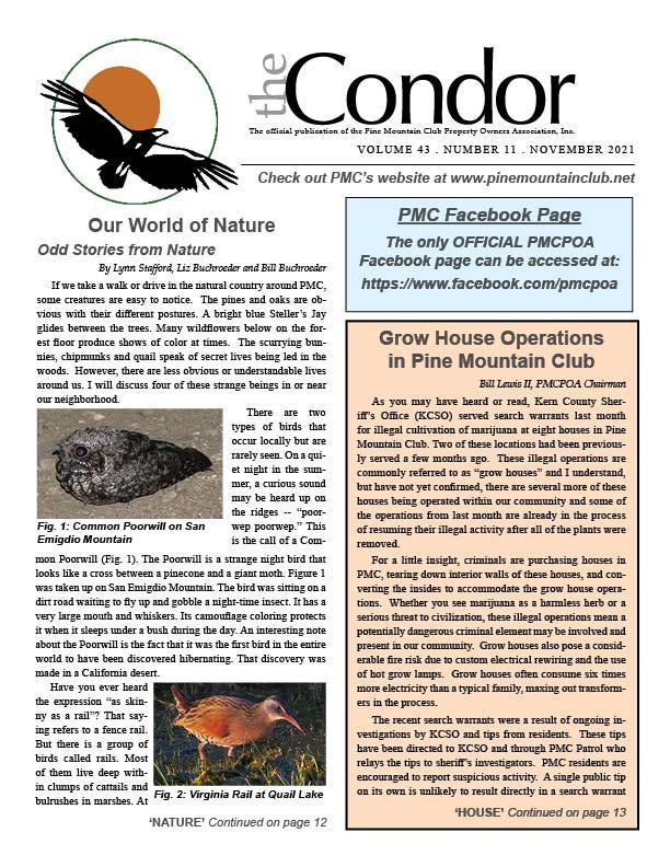 Nov. 2021 Condor newsletter page 1