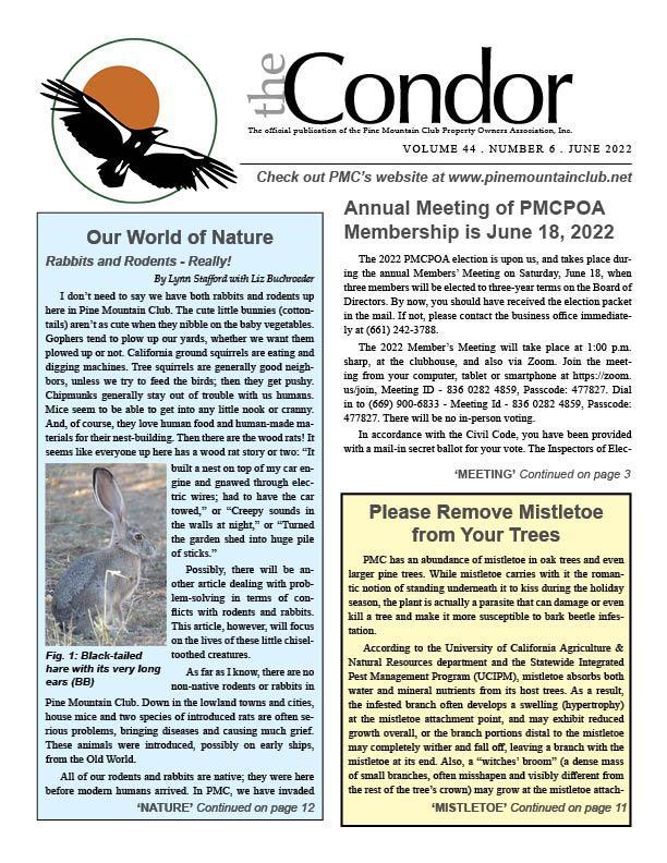 June 2022 Condor newsletter Cover