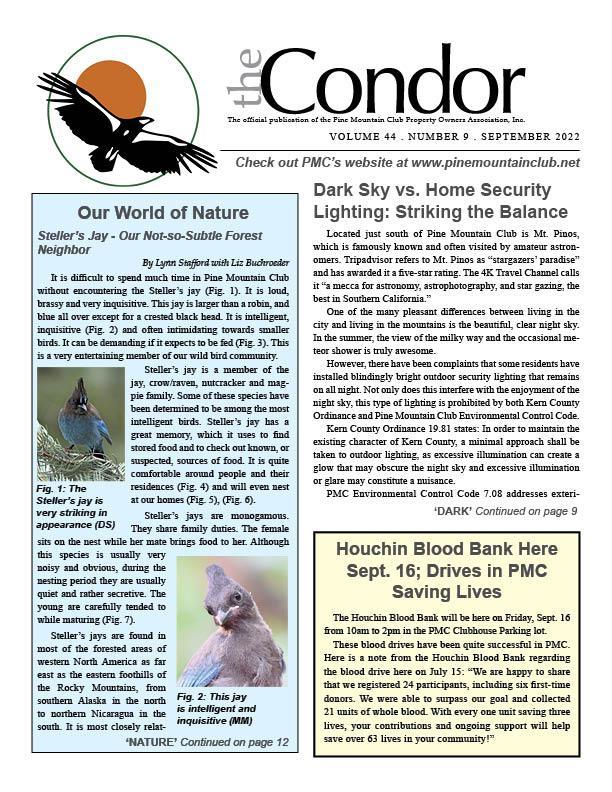 September Condor page 1 photo