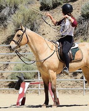 horse rider roping
