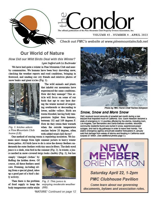 April 2023 Condor newsletter page one image