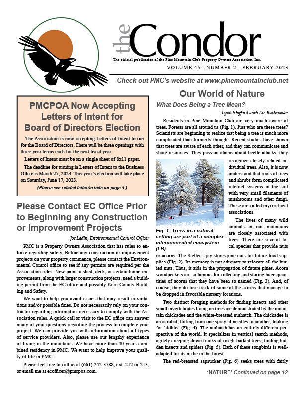 Feb 2023 Condor page 1