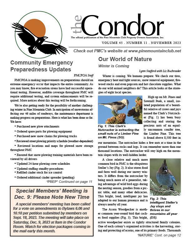 Condor newsletter Page 1 image