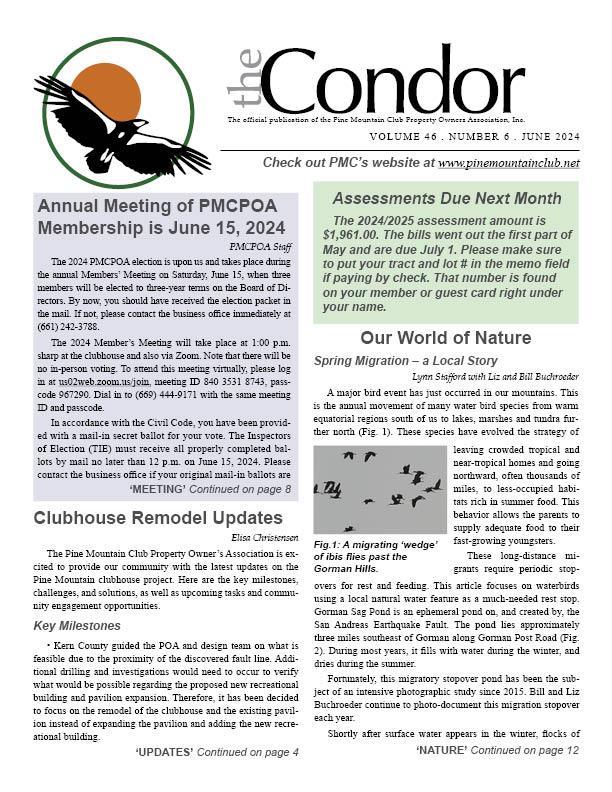June 2024 Condor Page 1